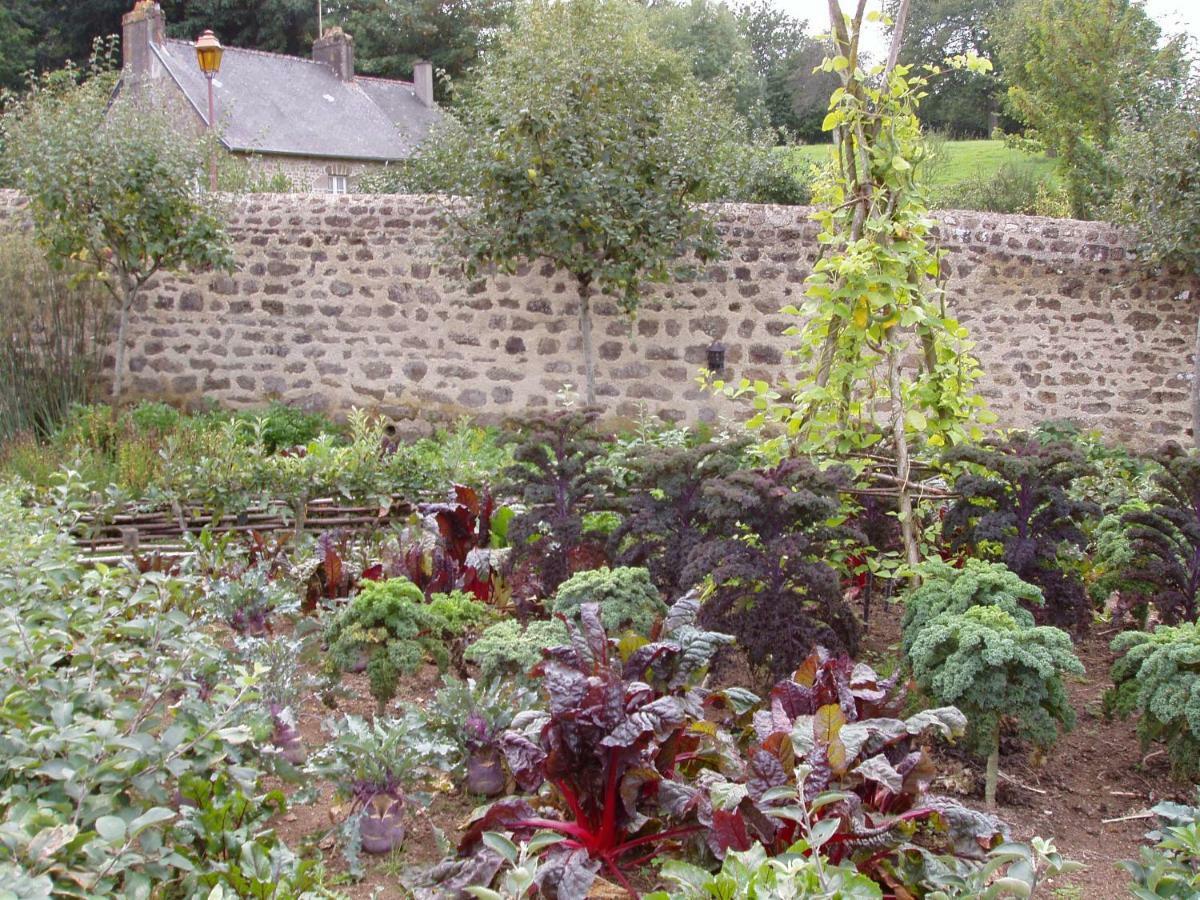 Chambres D'Hotes La Belle Taille Lassay-les-Chateaux المظهر الخارجي الصورة